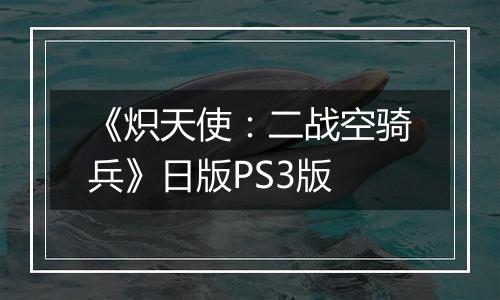 《炽天使：二战空骑兵》日版PS3版