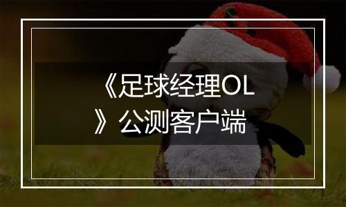 《足球经理OL》公测客户端