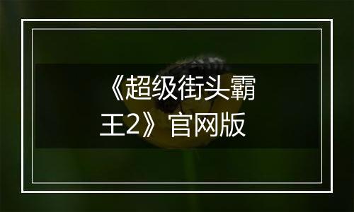 《超级街头霸王2》官网版