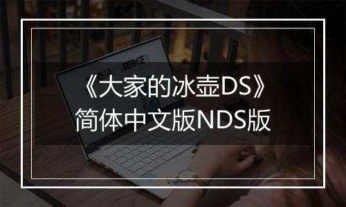 《大家的冰壶DS》简体中文版NDS版