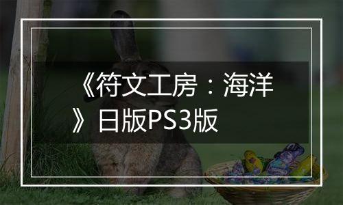 《符文工房：海洋》日版PS3版