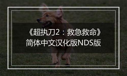 《超执刀2：救急救命》简体中文汉化版NDS版