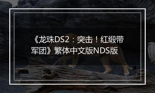 《龙珠DS2：突击！红缎带军团》繁体中文版NDS版