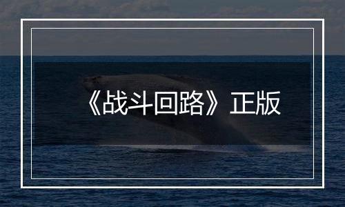 《战斗回路》正版