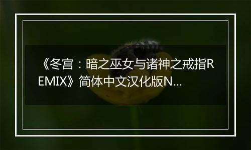 《冬宫：暗之巫女与诸神之戒指REMIX》简体中文汉化版NDS版