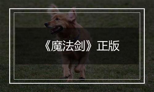 《魔法剑》正版