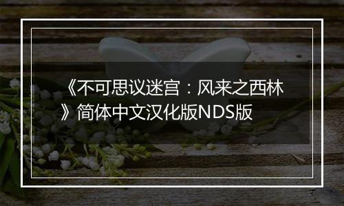 《不可思议迷宫：风来之西林》简体中文汉化版NDS版