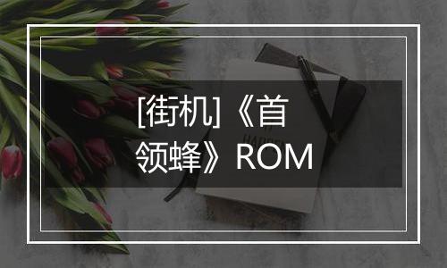 [街机]《首领蜂》ROM