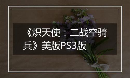 《炽天使：二战空骑兵》美版PS3版