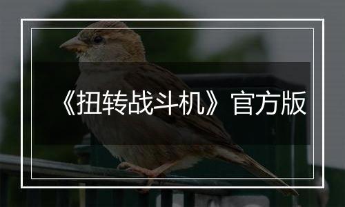 《扭转战斗机》官方版