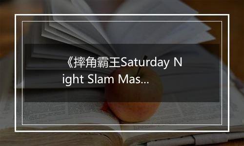 《摔角霸王Saturday Night Slam Masters》官方版