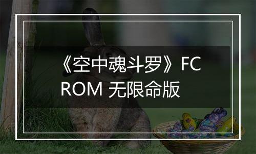 《空中魂斗罗》FC ROM 无限命版