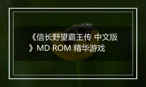 《信长野望霸王传 中文版》MD ROM 精华游戏