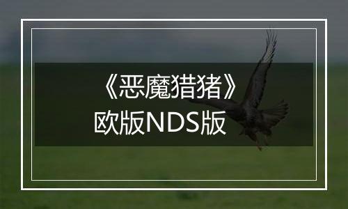 《恶魔猎猪》 欧版NDS版