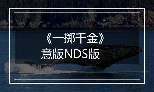 《一掷千金》 意版NDS版
