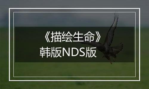 《描绘生命》 韩版NDS版