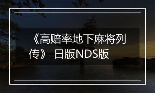 《高赔率地下麻将列传》 日版NDS版
