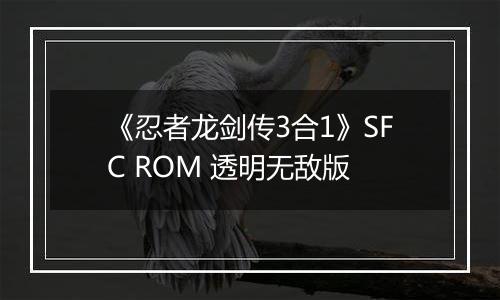 《忍者龙剑传3合1》SFC ROM 透明无敌版