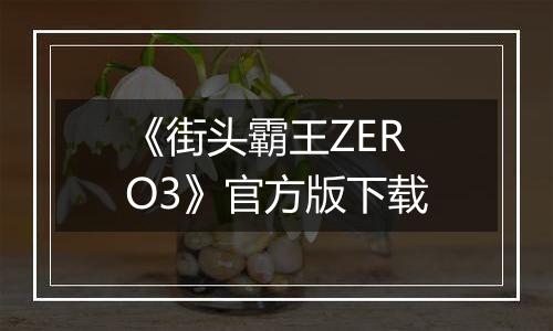 《街头霸王ZERO3》官方版下载