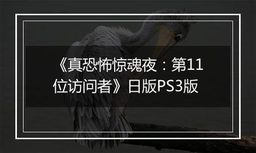 《真恐怖惊魂夜：第11位访问者》日版PS3版